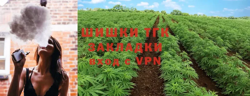 Каннабис SATIVA & INDICA  Новозыбков 